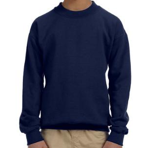 Youth School Mascot Spirit Sweatshirt - Custom 1926