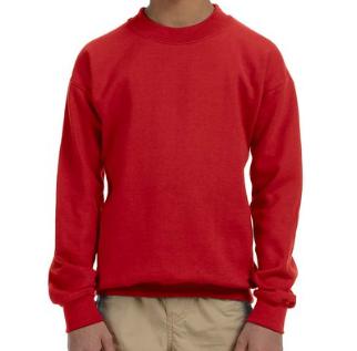 Youth School Mascot Spirit Sweatshirt - Custom 1926