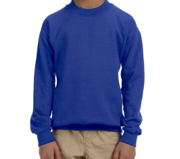 Youth School Mascot Spirit Sweatshirt - Custom 1926